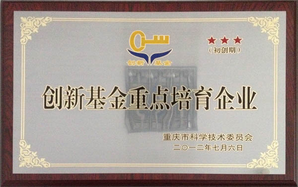 創新基金重點培育企業,重慶OA,重慶OA系統,重慶OA軟件,重慶OA辦公系統,OA辦公系統,釘釘服務商